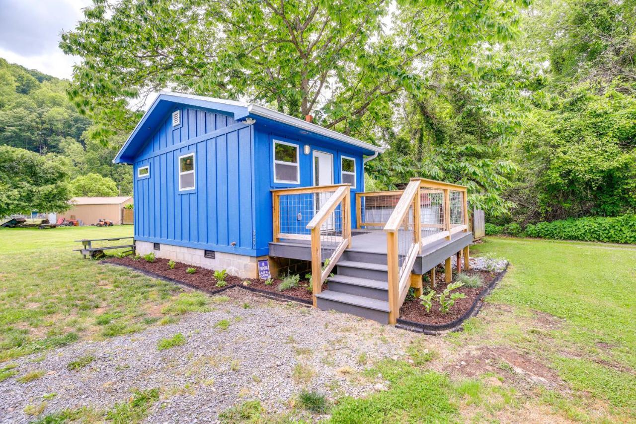 Cozy Hikers Hideaway Steps From Creeper Trail! Leilighet Damascus Eksteriør bilde